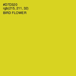 #D7D320 - Bird Flower Color Image